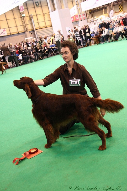 Crufts2011_2 118.jpg